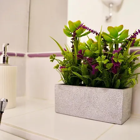 Mancini House Apartamento *